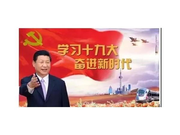 91抖音APP党总支开展党员